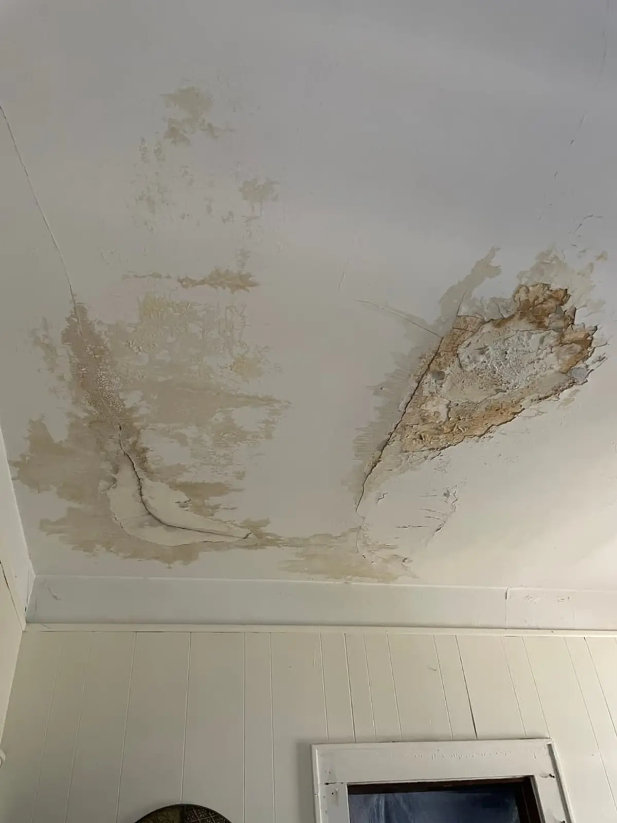 Selling a house with mold in Westbury: water stains spreading across a cracked ceiling